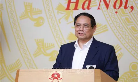Thủ tướng: Đất đai là vấn đề khó, nhạy cảm, phức tạp, việc điều chỉnh chính sách, pháp luật phải hết sức lắng nghe, cầu thị để điều chỉnh, bổ sung đảm bảo linh hoạt, hiệu quả, phù hợp
