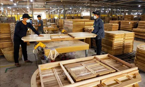 Gỗ và sản phẩm gỗ vào top 5 nhóm hàng xuất siêu nông nghiệp vẫn đang đứng trước nhiều thách thức