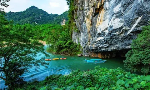 UNESCO phê duyệt điều chỉnh ranh giới Di sản Thiên nhiên Thế giới gồm hai vườn quốc gia của Việt Nam và Lào