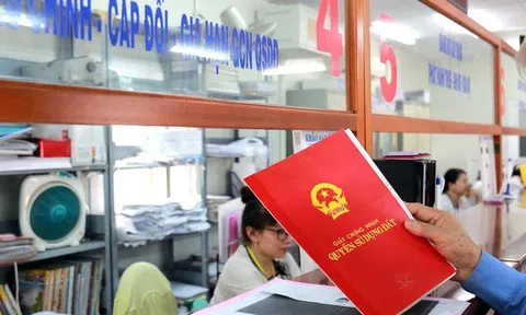 Rà soát, chuẩn hoá lại các thủ tục hành chính về đất đai