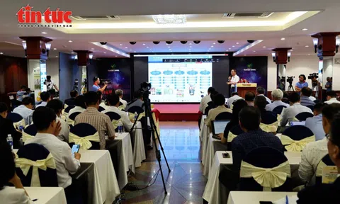 Chuối, dứa, dừa, chanh dây 'vươn mình' thành nông sản tỷ đô