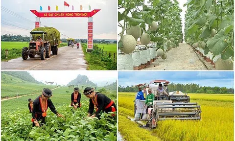Xây dựng cơ sở dữ liệu các chương trình mục tiêu quốc gia