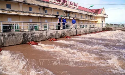 Bắc Bộ và Bắc Trung Bộ còn gần 58.000 ha cây trồng cần tiêu úng