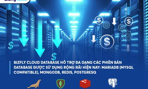 Giảm chi phí triển khai ban đầu và đáp ứng truy cập cao nhờ Bizfly Cloud Database