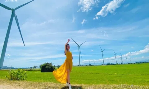 Thư giãn hòa mình với đất trời tại cánh đồng quạt gió thanh bình ở Ninh Thuận
