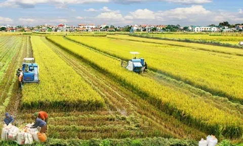 EBOOK: Nông nghiệp Đô thị tại khu vực miền Đông Nam Bộ