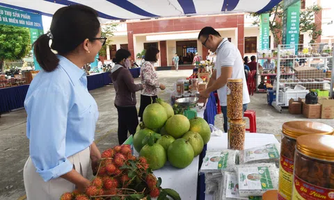 Quảng Ngãi: Phiên chợ kết nối tiêu thụ sản phẩm vùng đồng bào dân tộc thiểu số và miền núi 