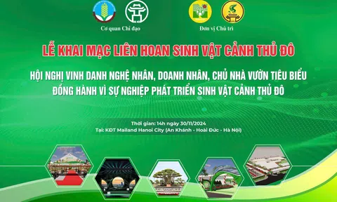 Thông điệp Video của Ông Saad al-Qaddumi, Chủ tịch Hội đồng Thủ công Thế giới (AISBL) phát biểu tại Lễ hội Nông sản và Thủ công mỹ nghệ Hà Nội nhân kỷ niệm 70 năm thành lập Sở Nông nghiệp (Bản dịch sang tiếng Việt)