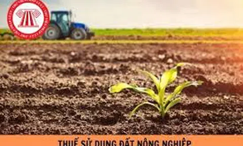 Bộ Tài chính đề nghị tiếp tục miễn thuế sử dụng đất nông nghiệp