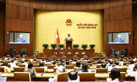 Cách mạng tổ chức bộ máy: Bước ngoặt chiến lược trong cải cách hành chính và tái cấu trúc quốc gia