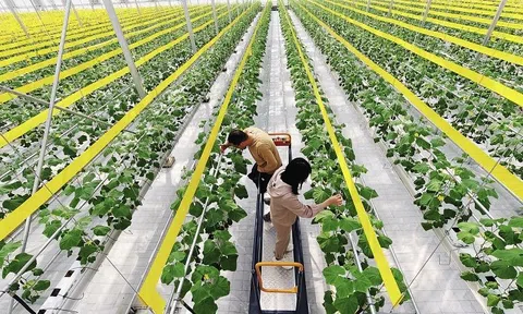 Phát triển nông nghiệp Trung Quốc dựa trên khoa học công nghệ, chuyển đổi số và AI