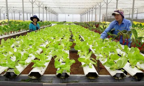 Hà Nội chọn lọc dòng vốn FDI xanh vào nông nghiệp: Khát vọng vươn tầm trong kỷ nguyên hội nhập