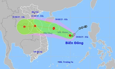 Áp thấp nhiệt đới gây gió mạnh trên Biển Đông