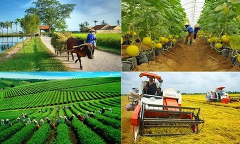 Kỷ niệm 80 năm CMT8 và QK 2/9: Phát triển nông nghiệp, nông dân, nông thôn - Dấu ấn lịch sử và tầm nhìn tương lai