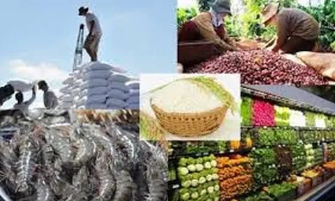 Gian nan đưa nông lâm thủy sản Việt Nam thành nhà cung ứng hàng đầu thế giới