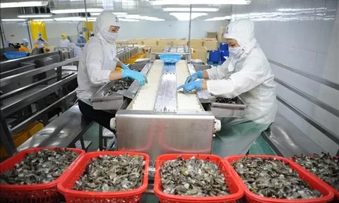 Cà Mau: Tăng cường truy xuất nguồn gốc, bảo đảm chất lượng nông, lâm, thủy sản xuất khẩu
