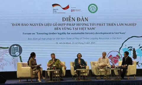Đảm bảo nguyên liệu gỗ hợp pháp hướng tới phát triển lâm nghiệp bền vững tại Việt Nam