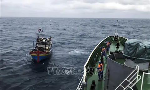 Ngày 16/9, vùng áp thấp, có khả năng mạnh lên thành áp thấp nhiệt đới