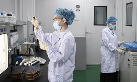 Cơ chế, chính sách thu hút nhân tài phục vụ đổi mới sáng tạo và chuyển đổi số: Bước tiến thể chế cho phát triển bền vững