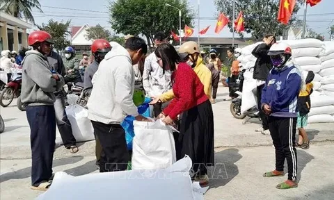 Đấu thầu thành công 200.000 tấn gạo nhập kho dự trữ quốc gia năm 2025
