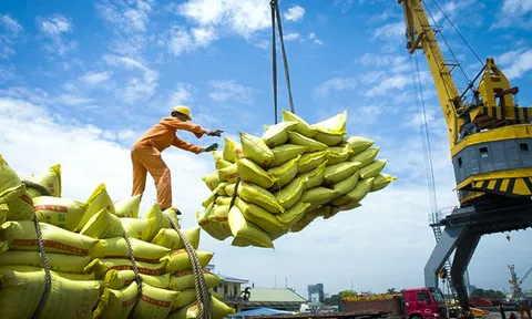 Gạo - linh hồn của văn hoá Việt - vươn ra toàn cầu