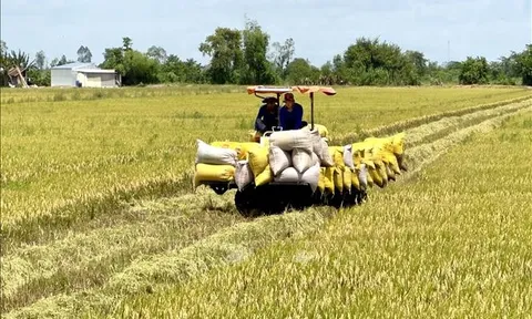 An Giang hướng tới trung tâm nông nghiệp hiện đại