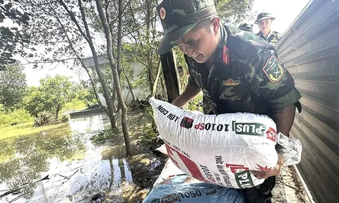 Ngày 10/10, lũ trên sông Cầu đạt đỉnh, nhiều khu vực trung du và đồng bằng Bắc Bộ vẫn ngập sâu
