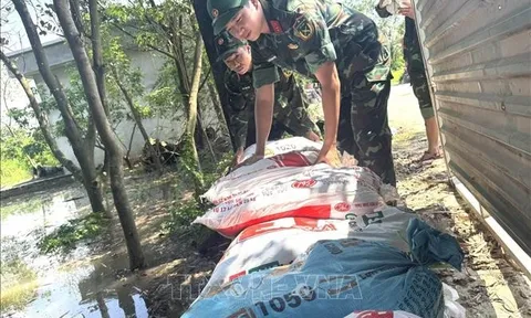 Kịp thời xử lý các sự cố xảy ra dảm bảo an toàn đê điều trên sông Cầu, sông Thương, sông Cà Lồ