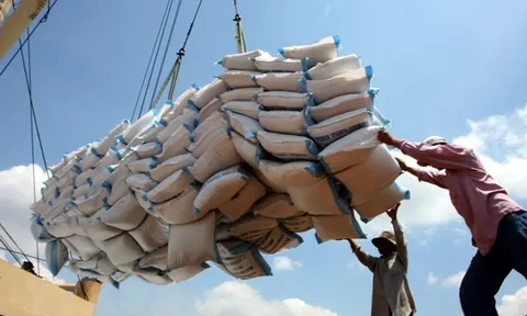 Ghana trở thành thị trường xuất khẩu gạo lớn nhất của Việt Nam trong tháng 9