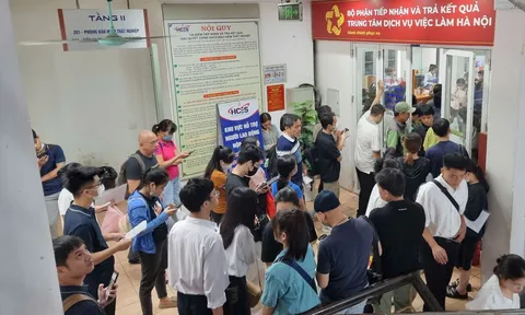 Luật Việc làm 2025 có hiệu lực từ 1/1/2026 mở rộng đối tượng, tăng quyền lợi thụ hưởng bảo hiểm thất nghiệp