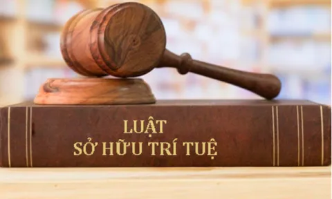 Tiếp tục sửa đổi Luật Sở hữu trí tuệ thúc đẩy thương mại hoá kết quả nghiên cứu
