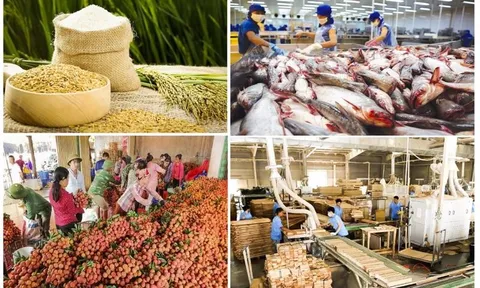 Những thách thức và triển vọng xuất khẩu nông, lâm, thuỷ sản Việt Nam: Hướng tới nền nông nghiệp bền vững trong thập niên tới