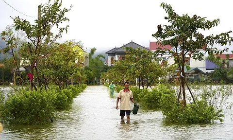 Ngày 1/11, Mưa lớn diện rộng ở Trung Bộ, Bắc Bộ trời lạnh và có nơi rét