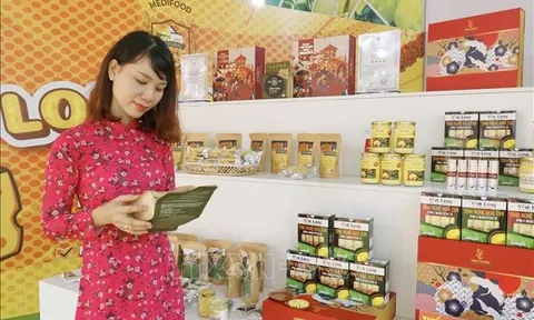 Chương trình “Mỗi xã một sản phẩm”: Sản phẩm OCOP khẳng định giá trị trong kinh tế nông nghiệp