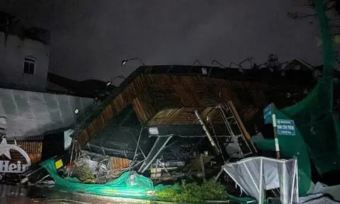 Hỗ trợ khẩn cấp 80 tỷ đồng cho 3 tỉnh Quảng Ngãi, Gia Lai, Đắk Lắk khắc phục hậu quả bão số 13