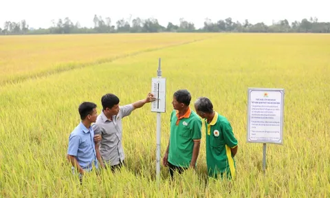 Đồng bằng Sông Cửu Long phát triển nông nghiệp “thuận thiên” trước thách thức biến đổi khí hậu