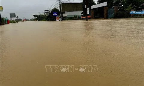 Các tỉnh, thành phố từ Đà Nẵng đến Lâm Đồng triển khai công tác đảm bảo an toàn hệ thống đê điều ứng phó bão số 15.