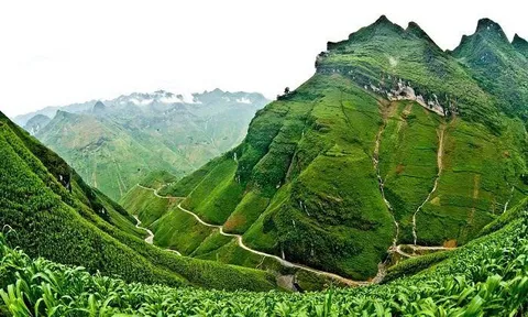 Tuổi thơ đại ngàn