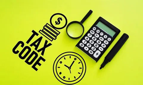 Tối ưu quy trình kiểm tra doanh nghiệp với API tra cứu mã số thuế tại TopMST