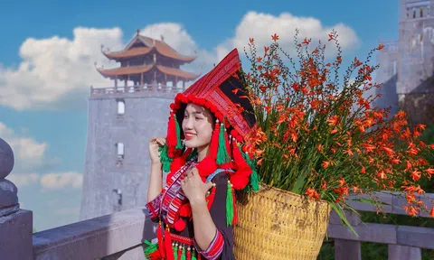 Rực rỡ Lễ hội hoa dơn thóc giữa mùa vàng Sa Pa