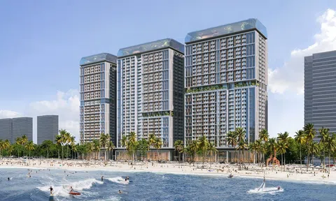 Sở hữu ngay căn hộ Sun Group Bãi Cháy bởi 5 lý do này