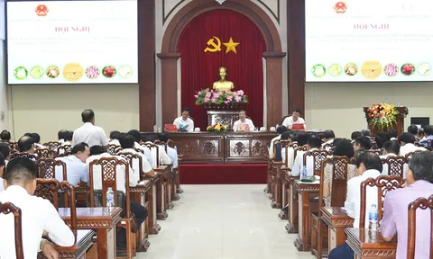 Tình hình thị trường lúa gạo nước ta và thế giới