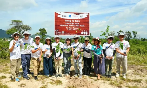 P&G và Central Retail đóng góp hơn 35.000 cây rừng qua sáng kiến Forests for Good