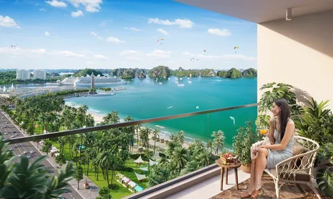 Hưởng lợi kép khi đầu tư căn hộ Sun Group trung tâm Bãi Cháy