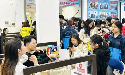 Thị trường lao động 2026 mở rộng cơ hội việc làm cho người không có bằng cấp