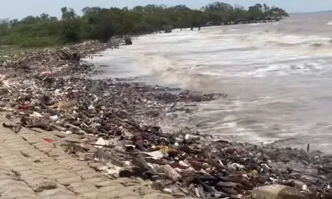 Đồng Tháp: Cần có chính sách hỗ trợ thiết thực cho lĩnh vực môi trường ở nông thôn