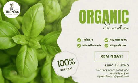 Phát triển vùng canh tác bền vững: Phúc An Nông và vai trò của doanh nghiệp hạt giống trong chuỗi giá trị nông nghiệp hiện đại