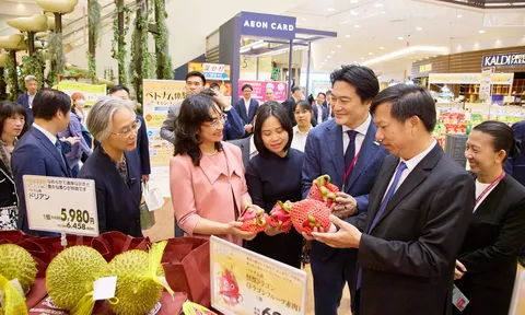 Dấu ấn 10 năm Tuần hàng Việt Nam tại AEON Nhật Bản: Thúc đẩy tiêu dùng hàng Việt và giao lưu văn hóa Việt - Nhật