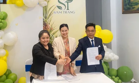 TP.HCM: Công ty Sam Trang ký kết phát triển chuỗi giá trị dứa MD2