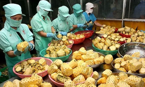 Nông sản Việt thu hút khách Nga
